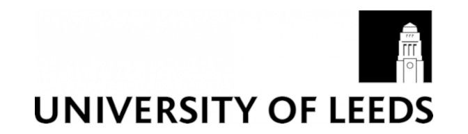 Transcription Services to Universities and Colleges; Leeds
